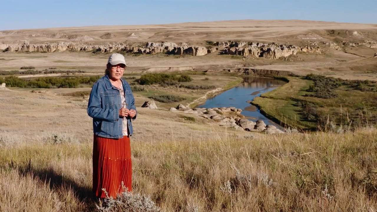 The Grasslands Project image