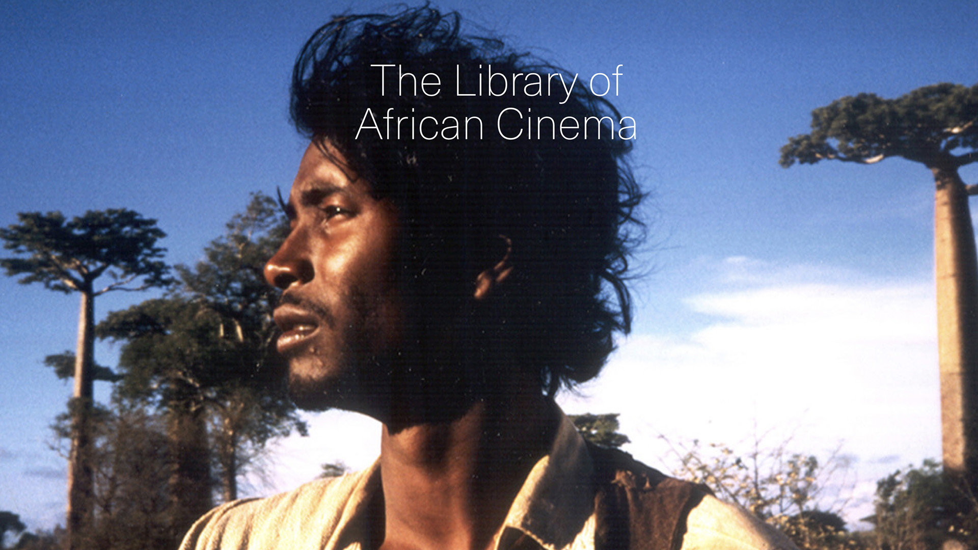 The Library of African Cinema, slide 3 of 3